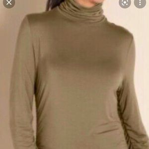 SOFT SURROUNDINGS RUCHED LONG TURTLENECK
